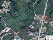 Terrenos Rústicos Almargem do Bispo