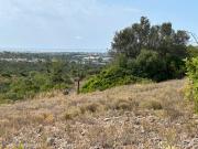 Terrenos Rústicos com Vista Mar Panorâmica, Estoi