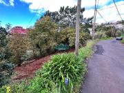 Terrenos Santa Cruz Ilha da Madeira DS56931623