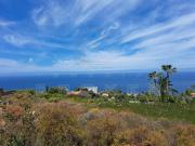 Terrenos Santa Úrsula Santa Úrsula 97013571