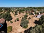 Terrenos Santarém Ferreira do Zêzere 2240 DS98918580