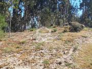 Terrenos Santo Tirso Porto DS79073876