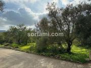 Terrenos Sao Bras De Alportel Faro DS89631818
