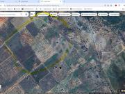 Terrenos Serpa Serpa DS89675358