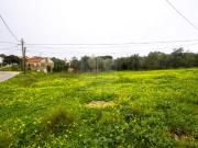 Terrenos Sesimbra Sesimbra DS84643524