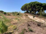 Terrenos Sesimbra Sesimbra DS84778814