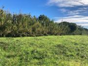 Terrenos Sesimbra Sesimbra DS88541399