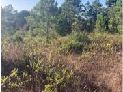 Terrenos Sesimbra Sesimbra DS94352339