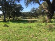 Terrenos Setúbal Palmela 2965 DS96815157