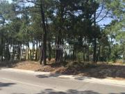 Terrenos Setúbal Setúbal DLS76954058