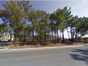 Terrenos Setúbal Setúbal DS98678732