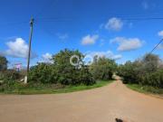 Terrenos Silves Algarve DS42717214