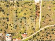 Terrenos Silves Algarve DS79782745