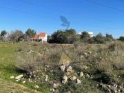 Terrenos Silves Algarve DS85572247