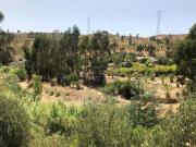 Terrenos Silves Algarve DS86007438