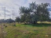 Terrenos Silves Algarve DS96916065