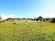 Terrenos Silves Faro DS86725791