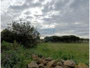 Terrenos Sintra Lisboa 2705 DS96326463