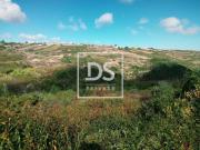 Terrenos Sintra Lisboa DS80005804