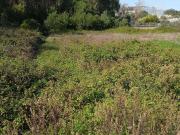 Terrenos Sintra Lisboa DS85258046