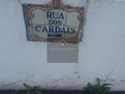 Terrenos Sintra Lisboa DS94468206