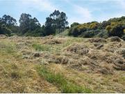 Terrenos Sintra Lisboa DS96308864