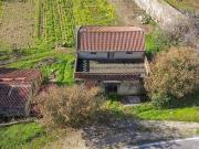 Terrenos Sintra Lisboa DS98387210