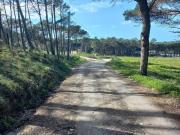 Terrenos Sintra Lisboa DS98522638