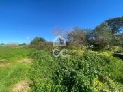 Terrenos Sintra Lisboa DS99933480