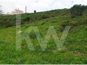 Terrenos Sintra Sintra DS95450715