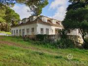 Terrenos Sintra Sintra DS95719948