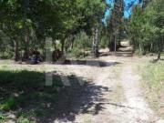 Terrenos Sintra Sintra DS97838828