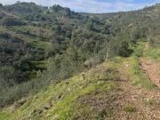 Terrenos Tavira Algarve DS100253234