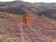 Terrenos Tavira Faro 8800 000 DS96319784