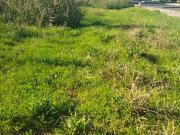 Terrenos Torres Vedras Lisboa DS84141001