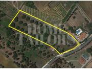 Terrenos Torres Vedras Lisboa DS96316148