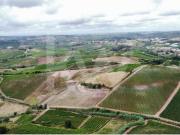 Terrenos Torres Vedras Torres Vedras DLS85503540