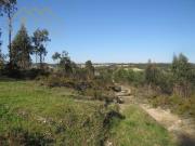 Terrenos Torres Vedras Torres Vedras DS93625677