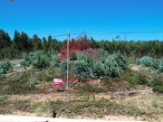 Terrenos Torres Vedras Torres Vedras DS93947635