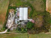 Terrenos Torres Vedras Torres Vedras DS94889834