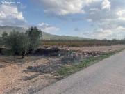 Terrenos urbanizables en venta en Salinas