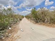 Terrenos urbanizados para Bungalows en Dzidzantun, Yucatán
