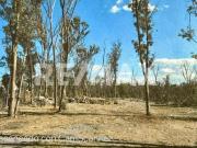 TERRENOS URBANOS RESIDENCIALES. 4