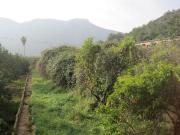 Terrenos Valencia Valencia LS92576697