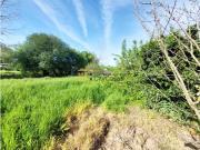 Terrenos Valongo Valongo DS87100462