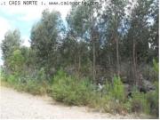 Terrenos Valongo Valongo DS93247600