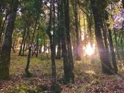 Terrenos Venta Huixquilucan de Salazar