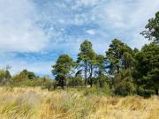 TERRENOS VENTA SALAZAR LERMA MEX