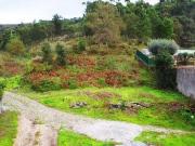 Terrenos Viana do Castelo Viana do Castelo 4905 229...