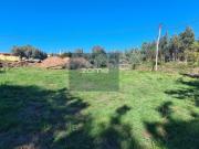 Terrenos Viana do Castelo Viana do Castelo DS94819131